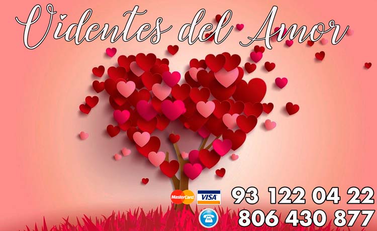 videntes del amor